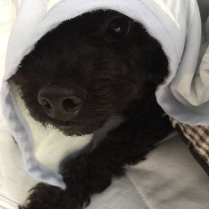 938de294 46fe 4a4e b7f7 cadb7727009e