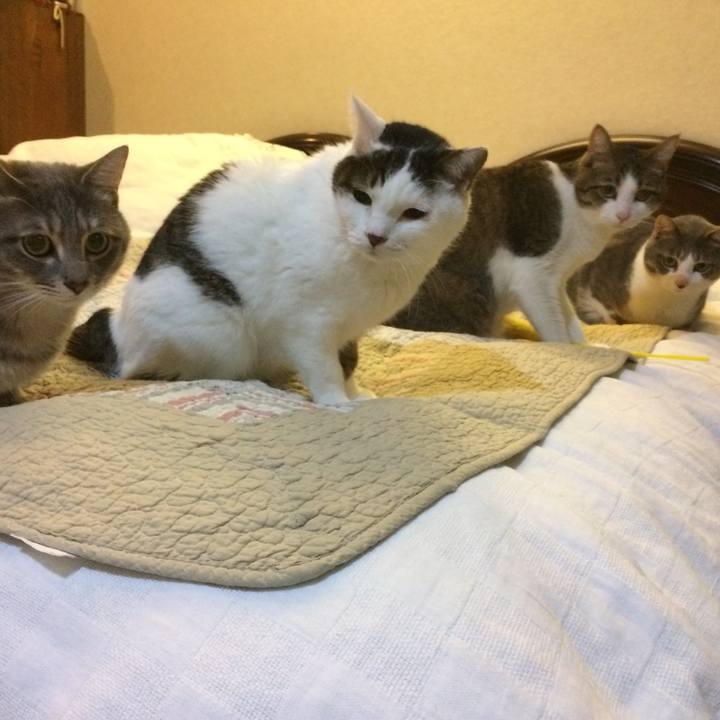 938dfe48 f2f1 4b40 822c b964e821b08f