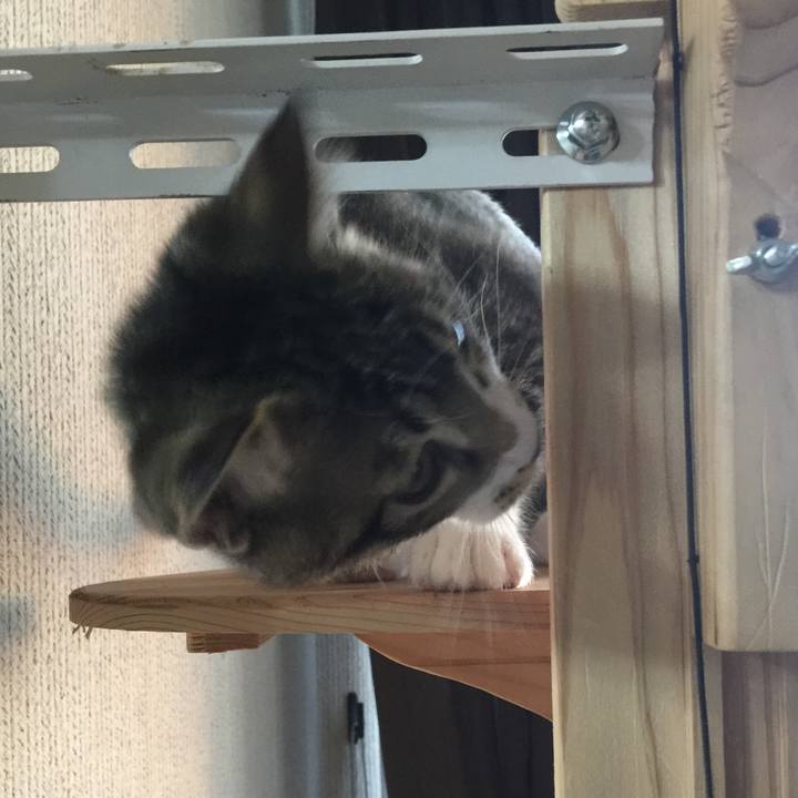 938e857a 738a 4cf3 8bed 1473875c0697