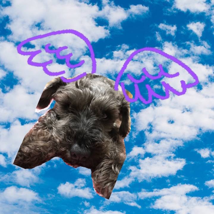 938eb737 df9b 4ad1 b1a1 cbcd733aca26