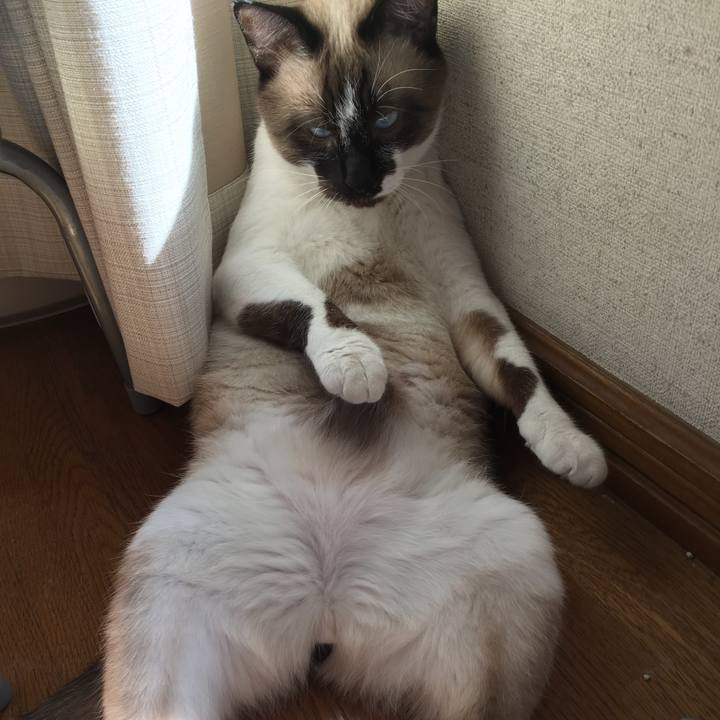 938ee970 660c 47b1 a260 730002bdcf73