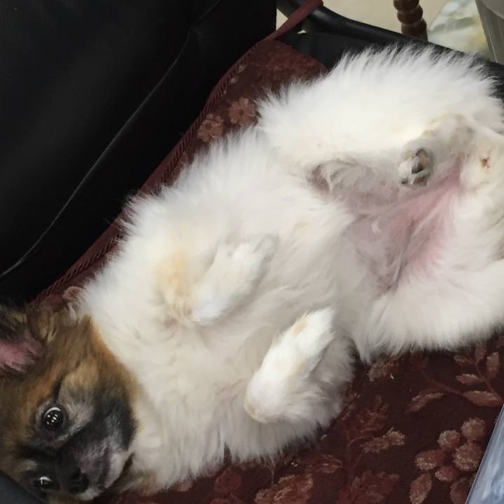 938efc73 8a7d 477d 8289 5a68ea0c6280