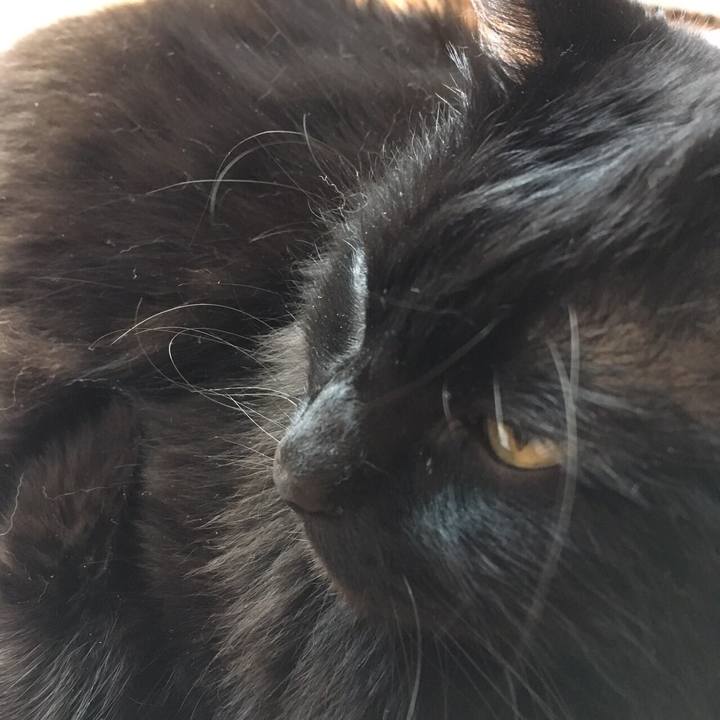 938f4a6b 0519 4178 ba83 e82200b047a3