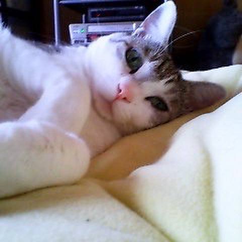 938f8a1e 7e40 4256 b5ee e0636b51efbe