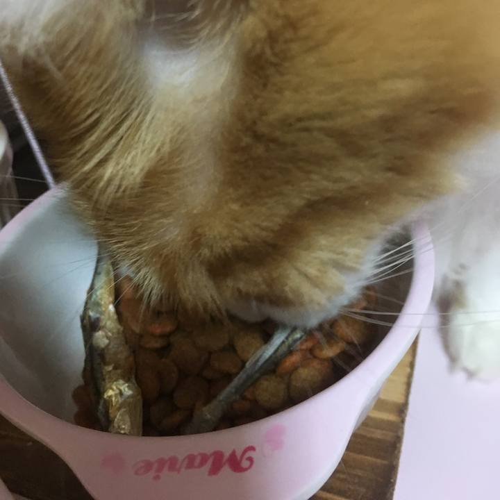 93907aee 6d7c 46e7 a20b 05a437f70bbd