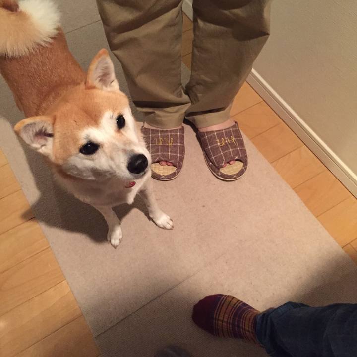 93908655 9025 4bed b2d2 099bda8209db