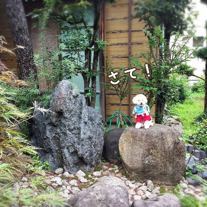 93911445 571c 42ff 8f93 8ecfbd3592cc