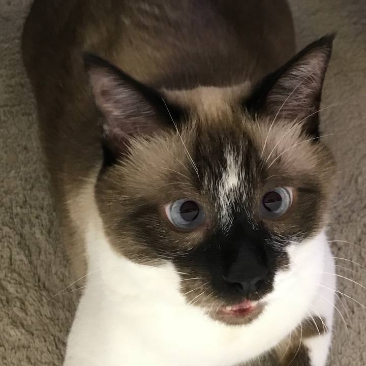 93918054 353c 444b ba7a 3edf24dec9c5