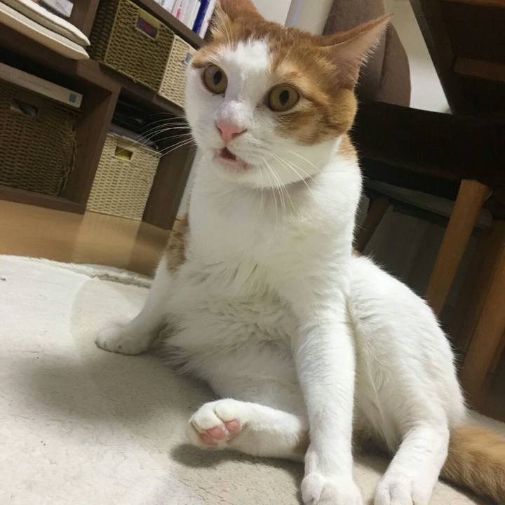 9391ac9c 9dfb 4c37 a168 1d1bbe8e25ab