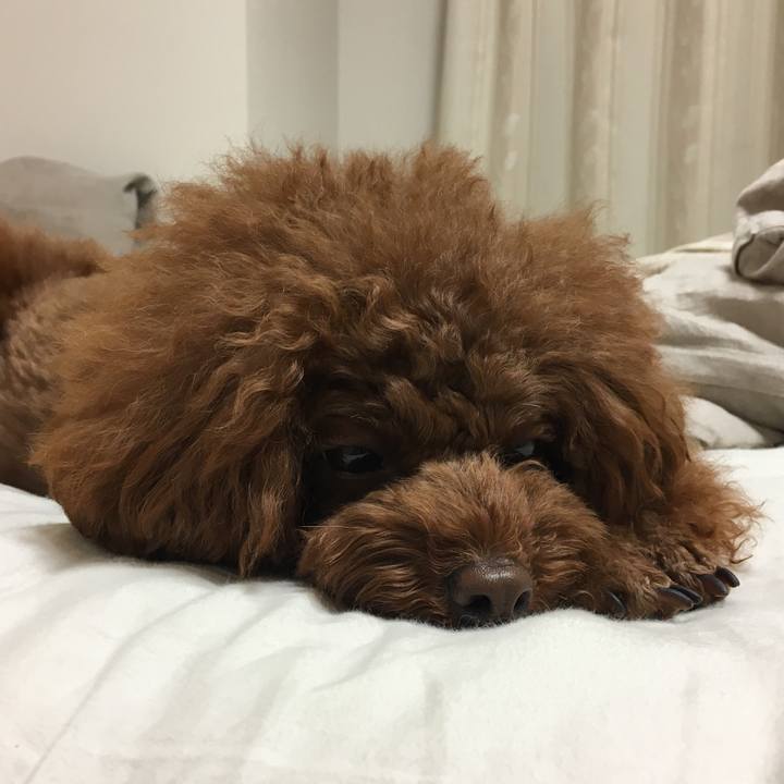 9391d7a2 30a4 44e9 8d2b 31d022e05bd4