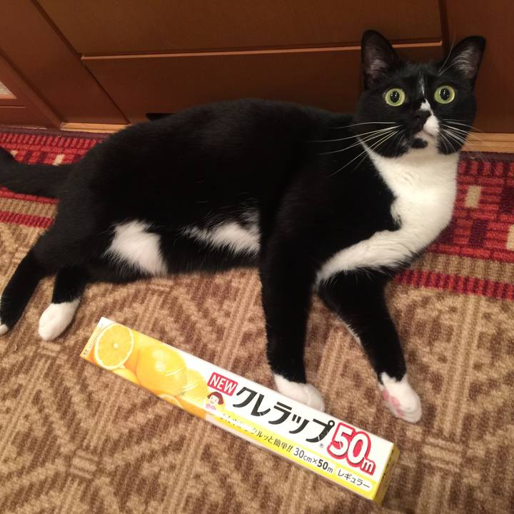 9392285c 8908 493b bafe 21a1b5e1a3f0