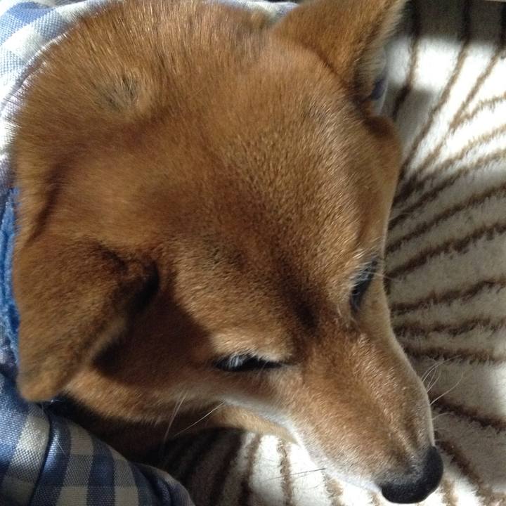 93931d23 54f1 4ae2 80b8 f84324a03af0