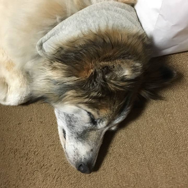 9393cfcc 712a 4a2e a19c c29eb4fc1d23