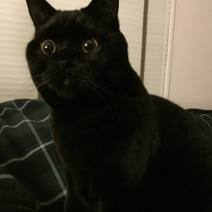 93942717 402f 4056 bd2d ef20cb9f49ae