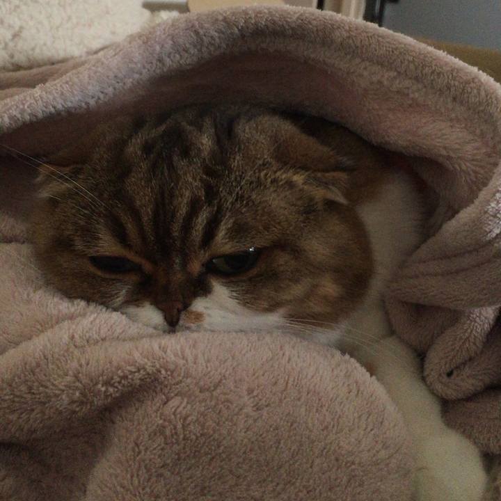 93944ae7 9a7f 4a38 8b50 165a618900ca