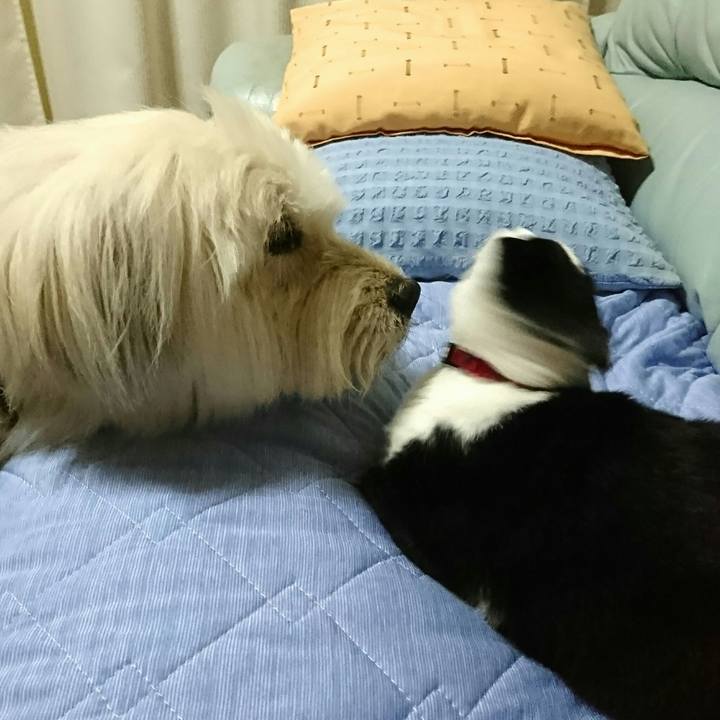 93947530 ee3f 4a0f a12c 1dfaa2e468db