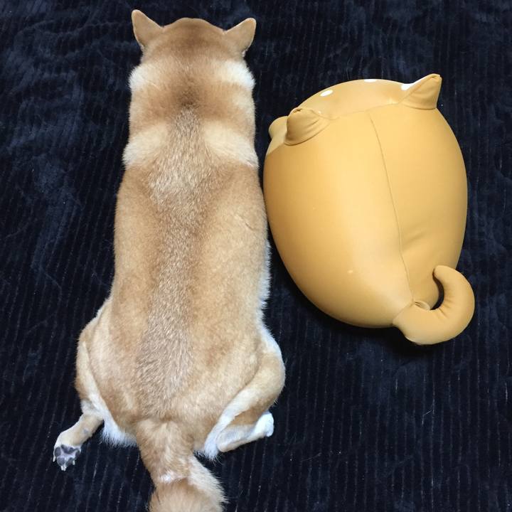 9395460d d568 4733 92af 807fa57cd740