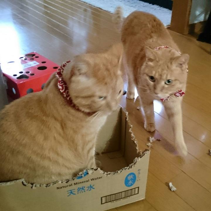 93956536 0e84 4b0c 80b9 2b8d2863d3d8