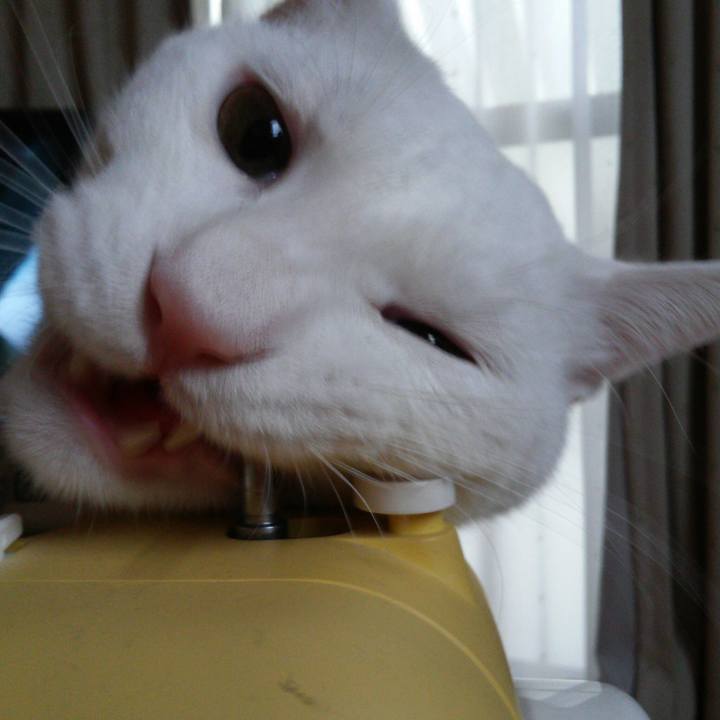 939627a0 773f 4cad 8d07 5796db24eaab