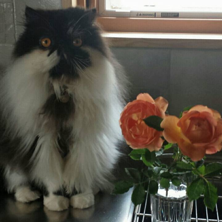 9396ca6c be14 43d7 bf27 018632f38889