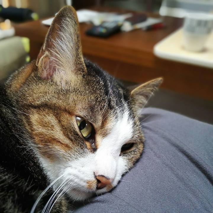 9396f16e a79f 4a0b bf7f 1a951fee7ec2