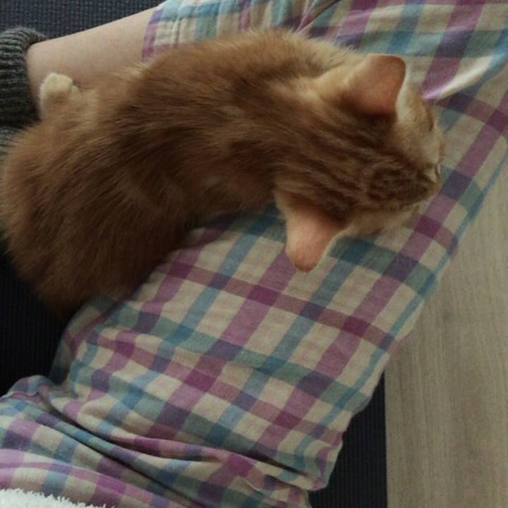 9396f9d7 9d0a 49d8 86a8 1f3688b1beba