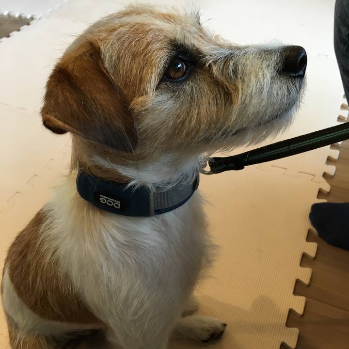 93970103 8581 43dd 8863 10820210f73e