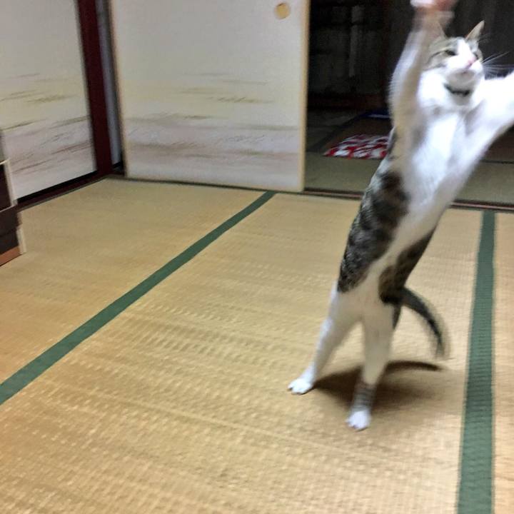 939722f7 06a5 4eac 9216 209a9a8cf745