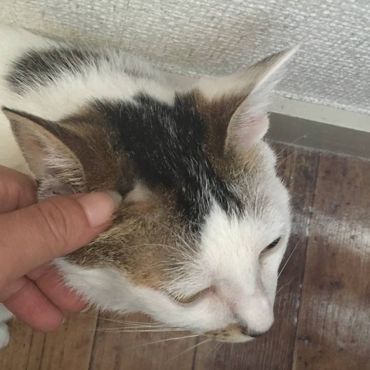 9397a555 f068 476c 915c 1334e262f865