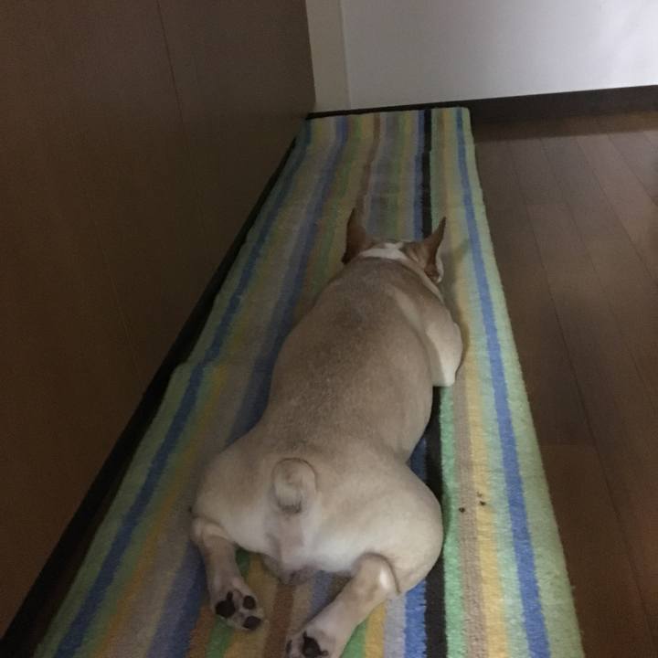 93987012 932f 468d b020 5dd4e67cc0f7