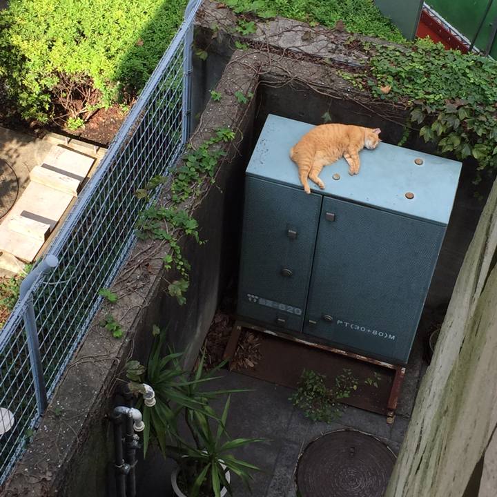 93988ea1 a8b1 4389 8073 2df3e19ad2d5