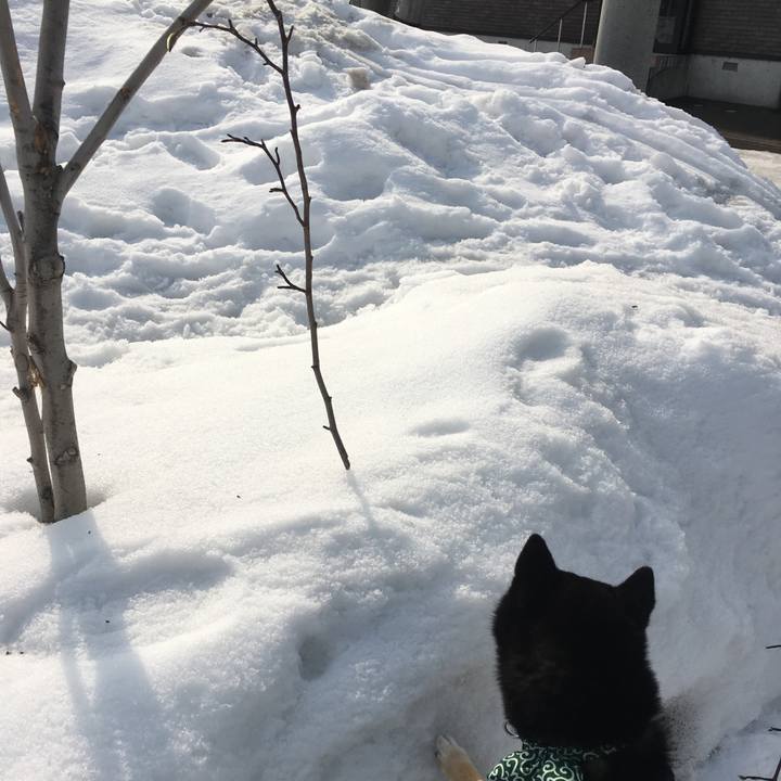 93993faf 3e83 4336 b2f2 39d57d3e81b5