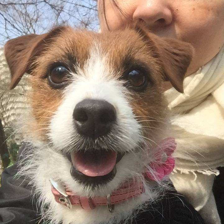 939943b3 a525 4af1 8f01 d35b8b2c5459