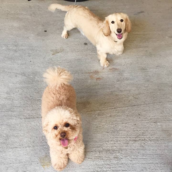 93994aed ed98 49f7 8b14 64a2511236c8