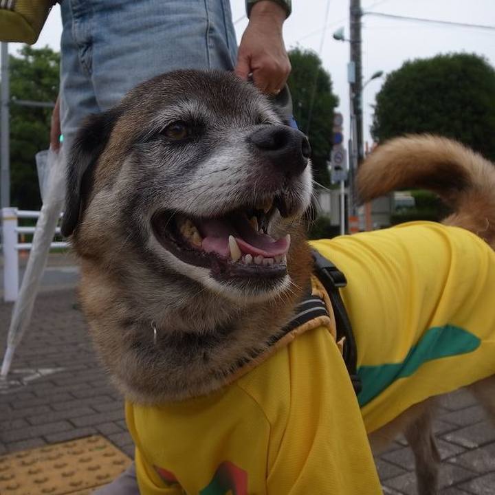 93996906 119b 4540 a03f 4068b474fed8