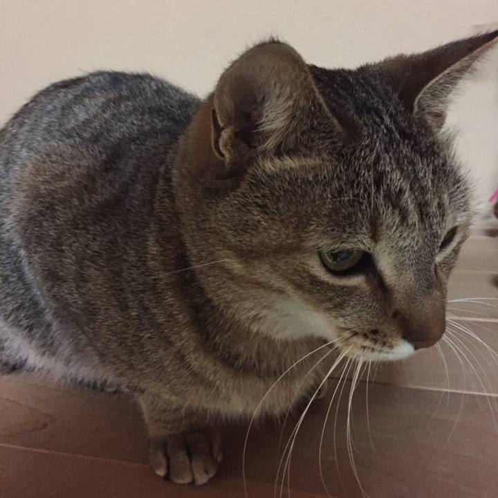 93998541 519e 4af1 bbd9 580e02f93b79