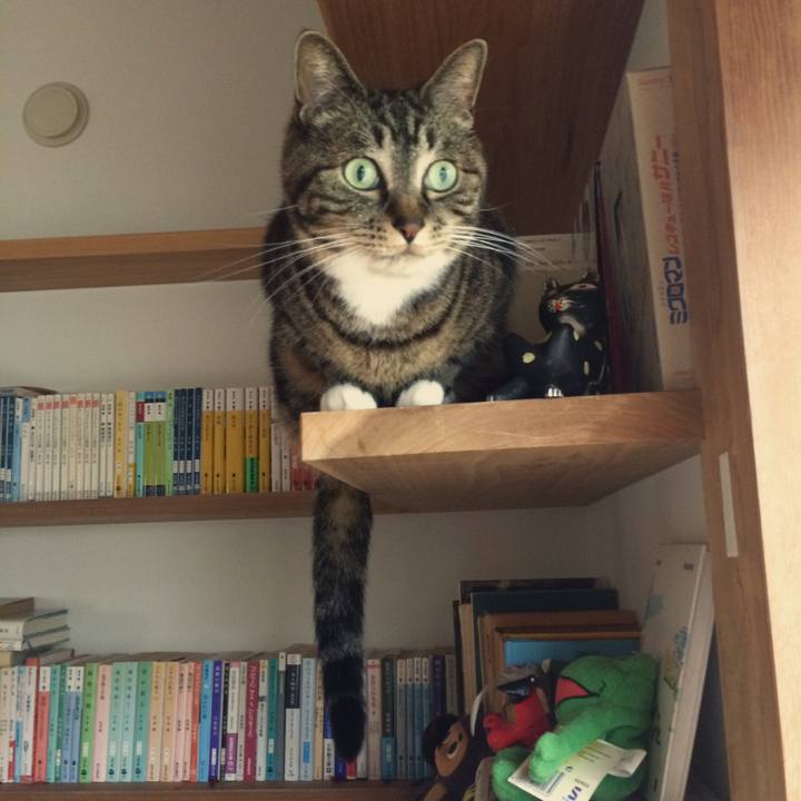 939a0e87 1dd5 4f9b ad65 41c4a8e1d055