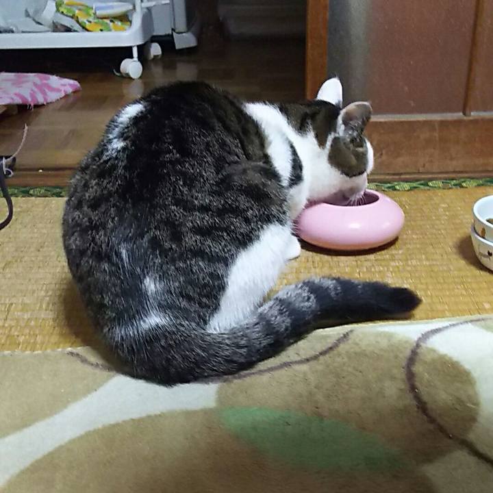 939a3bec 9331 496a 8410 848935a9dc57