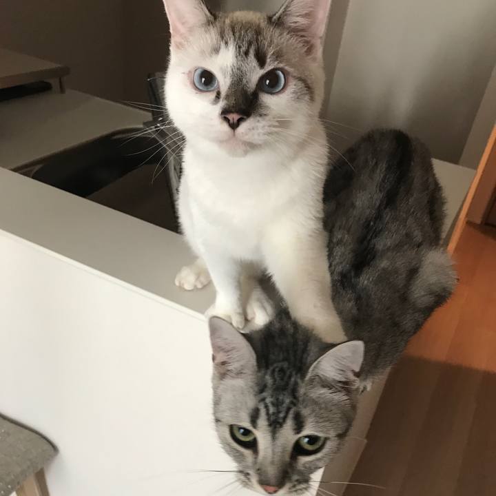 939ad644 43a1 44c3 8dd1 4f1da4ca6467