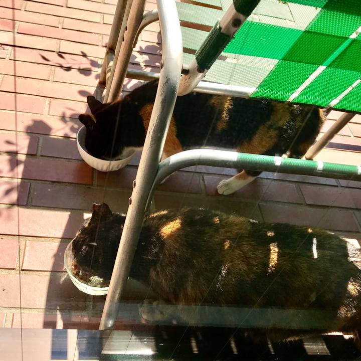 939b683a 598a 4866 8bc5 25975bc7045d