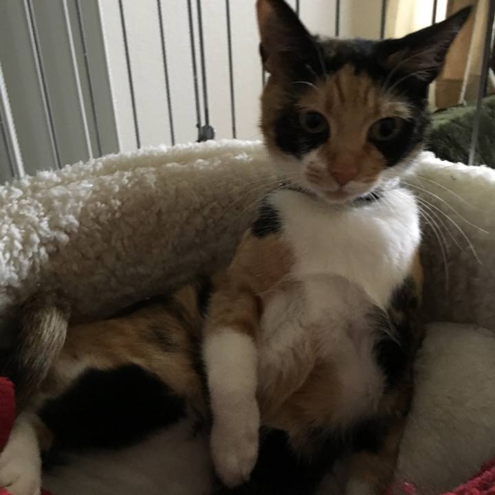 939b8dea 1b23 42ac 9ab8 b5c12936866b