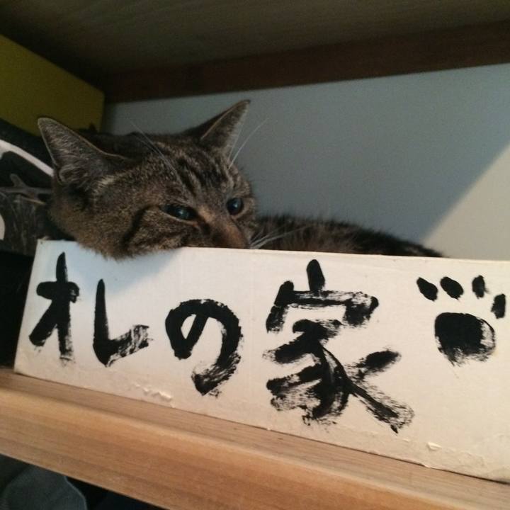 939b9a49 15d8 4ab0 ac46 6c38ad3607ff