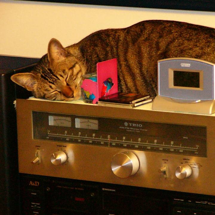 939c101d 7932 4518 9789 5fbc150af983