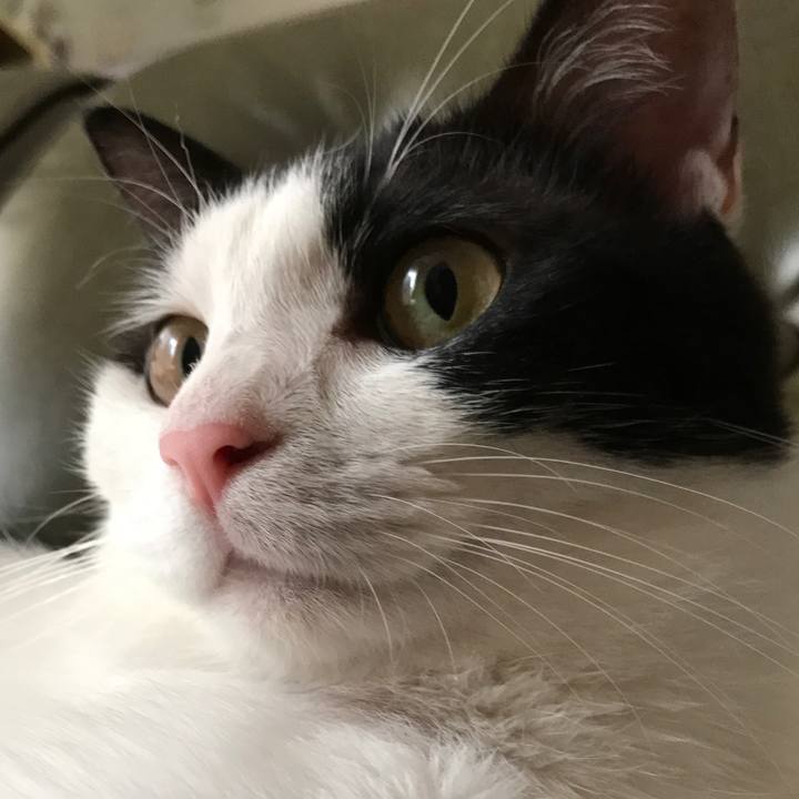 939c3cdc 27fd 4625 80f9 9f984b9d8890