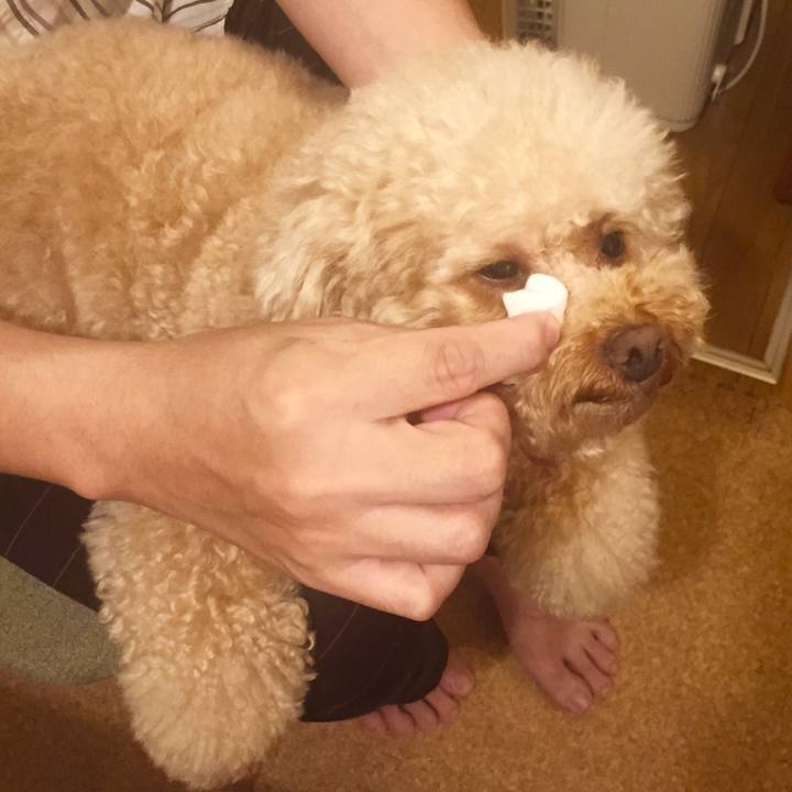 939c8454 2e34 43ec 9c3e b70c9cb8f46a