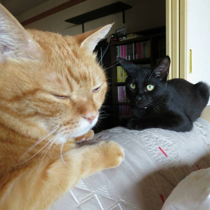 939d4334 6738 4aa2 bce3 d3059c2020f7