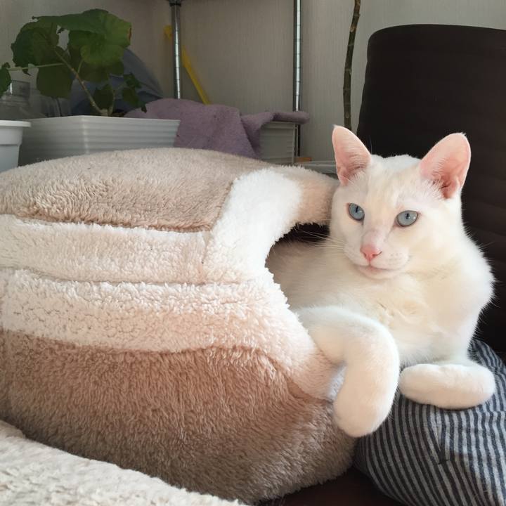 939e039d 162e 432f a4b2 17aabea0f197