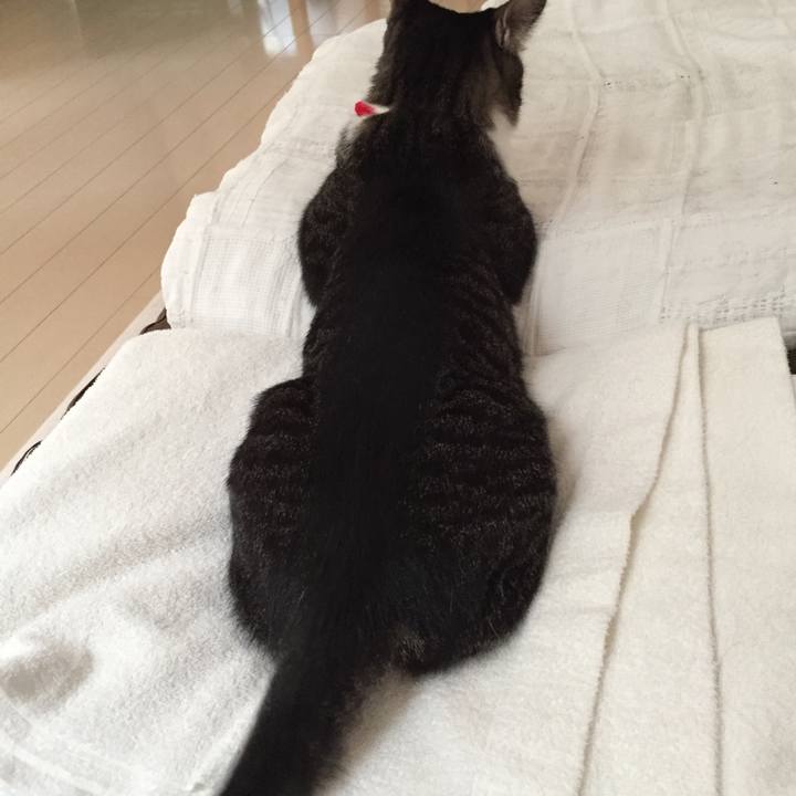 939e9717 0df3 43ca bf55 32d4ac78ab11