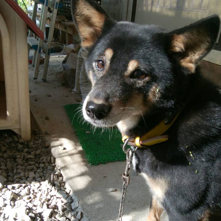 939eadd1 5e19 4ea3 b9cd b7c7626ef0ab