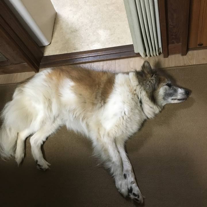 939f684c f09a 4dd7 a6f9 29542bad3bc8